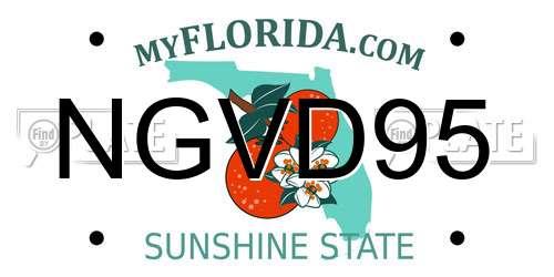 NGVD95 Florida License Plate