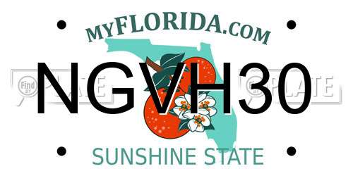 NGVH30 Florida License Plate