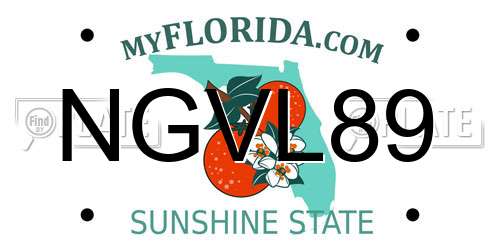 NGVL89 Florida License Plate