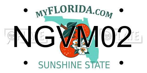 NGVM02 Florida License Plate