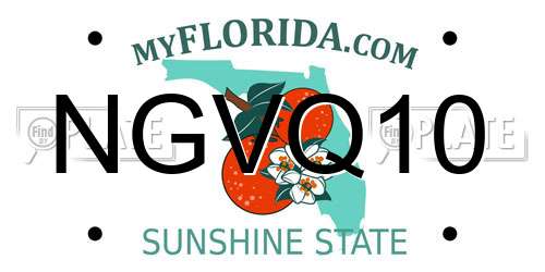 NGVQ10 Florida License Plate