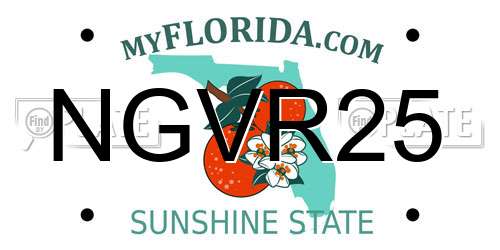 NGVR25 Florida License Plate