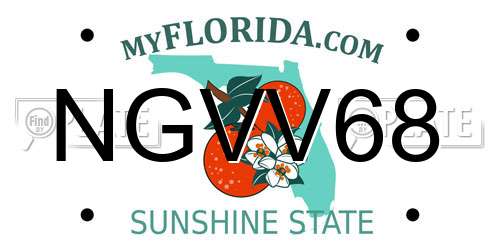 NGVV68 Florida License Plate