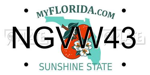 NGVW43 Florida License Plate