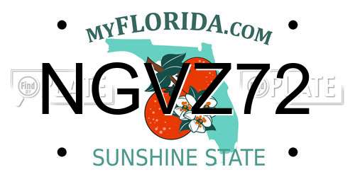 NGVZ72 Florida License Plate