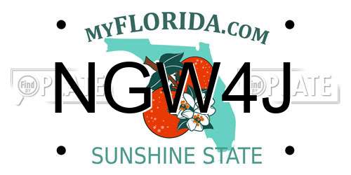 NGW4J Florida License Plate