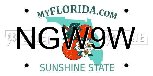 NGW9W Florida License Plate