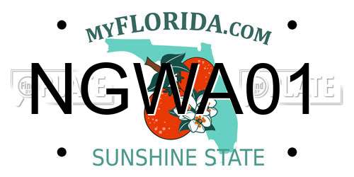 NGWA01 Florida License Plate