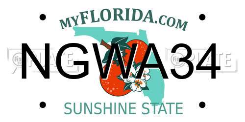 NGWA34 Florida License Plate