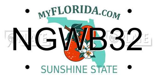 NGWB32 Florida License Plate