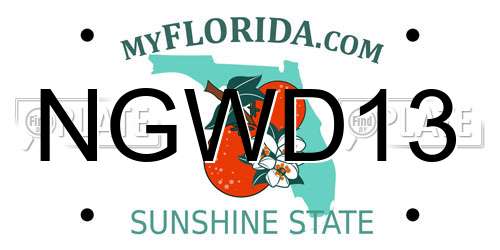 NGWD13 Florida License Plate