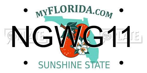 NGWG11 Florida License Plate