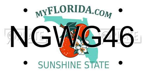 NGWG46 Florida License Plate