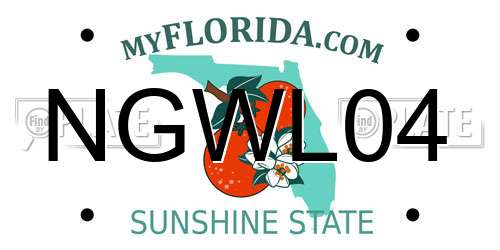 NGWL04 Florida License Plate