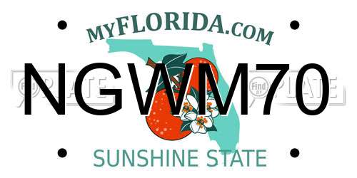 NGWM70 Florida License Plate