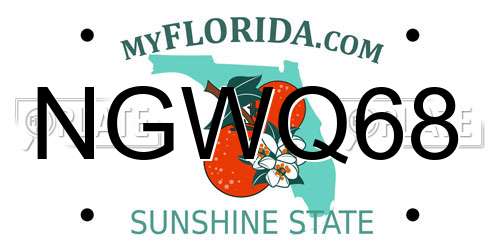 NGWQ68 Florida License Plate