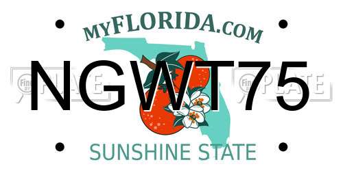 NGWT75 Florida License Plate