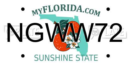 NGWW72 Florida License Plate