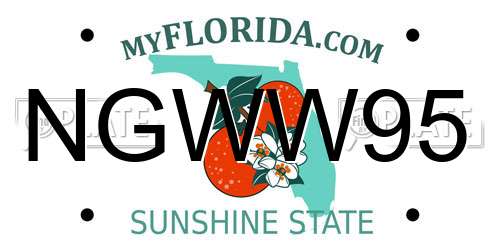 NGWW95 Florida License Plate