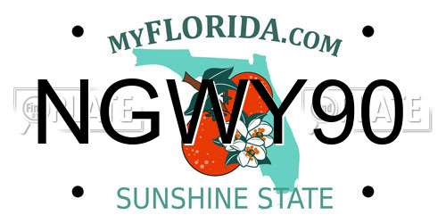 NGWY90 Florida License Plate