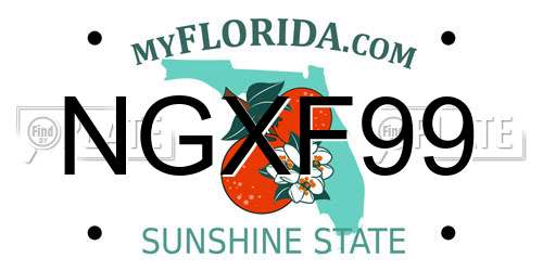 NGXF99 Florida License Plate