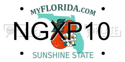 NGXP10 Florida License Plate