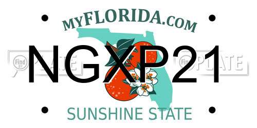 NGXP21 Florida License Plate