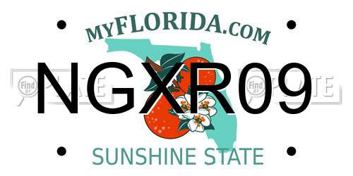 NGXR09 Florida License Plate