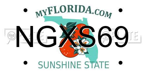NGXS69 Florida License Plate