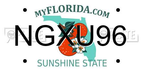 NGXU96 Florida License Plate