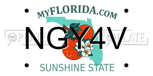 NGY4V Florida License Plate