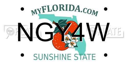 NGY4W Florida License Plate