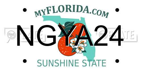 NGYA24 Florida License Plate