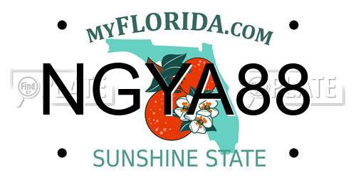 NGYA88 Florida License Plate