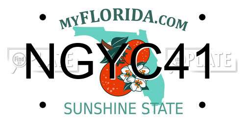 NGYC41 Florida License Plate