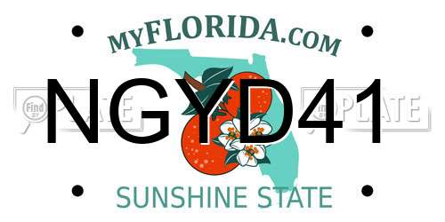 NGYD41 Florida License Plate