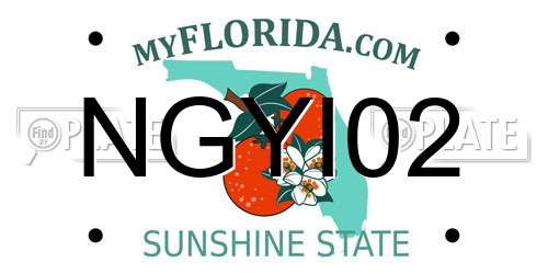 NGYI02 Florida License Plate