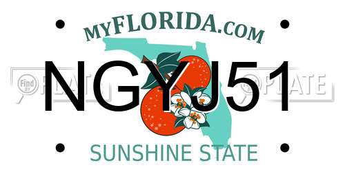 NGYJ51 Florida License Plate