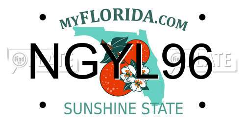 NGYL96 Florida License Plate