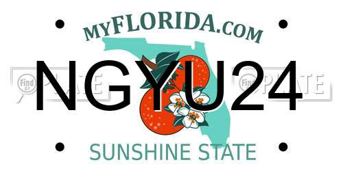 NGYU24 Florida License Plate