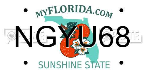 NGYU68 Florida License Plate