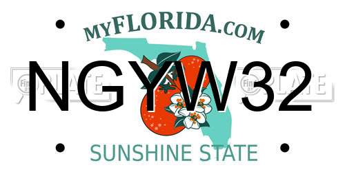 NGYW32 Florida License Plate