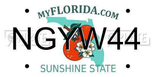 NGYW44 Florida License Plate