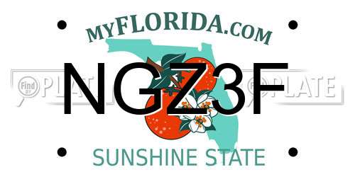 NGZ3F Florida License Plate