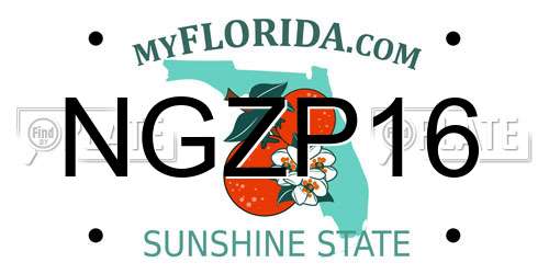 NGZP16 Florida License Plate