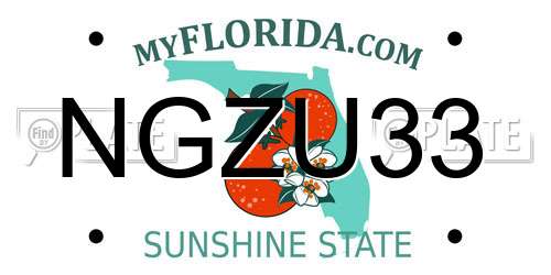 NGZU33 Florida License Plate