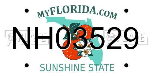 NH03529 Florida License Plate