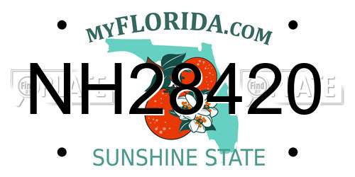 NH28420 Florida License Plate