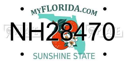 NH28470 Florida License Plate