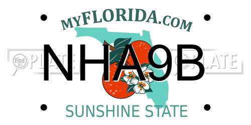 NHA9B Florida License Plate